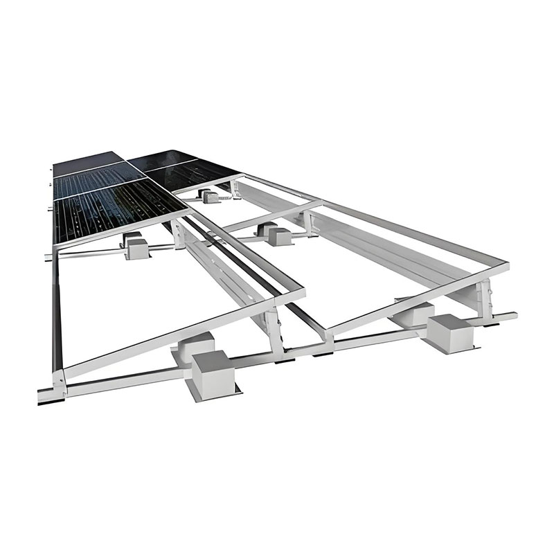 Artus solaris