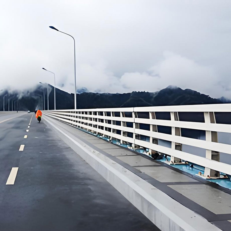 Pons metallicus guardrail