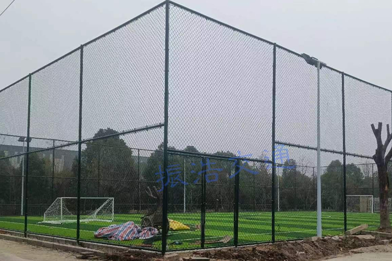 Stadium saepes