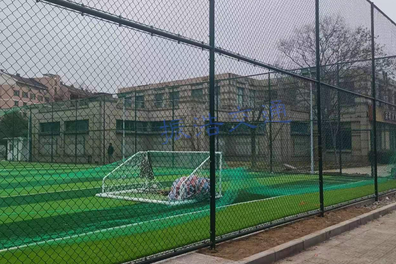 Stadium saepes