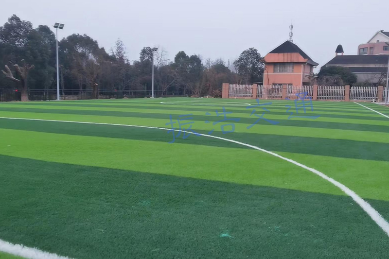 Stadium saepes