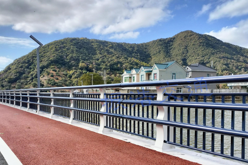 Pontis guardrail